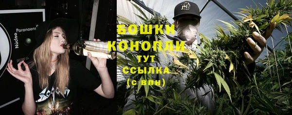 ешки Мегион