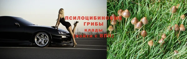 синтетический гашиш Медвежьегорск