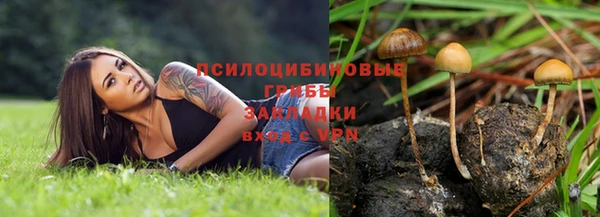 спиды Магас