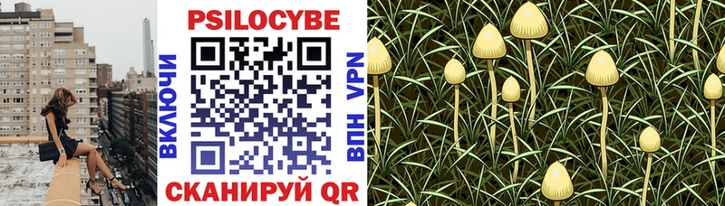 Псилоцибиновые грибы Psilocybine cubensis  это официальный сайт  Наволоки 