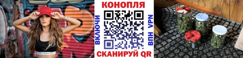 продажа наркотиков  Наволоки  Бошки Шишки конопля 